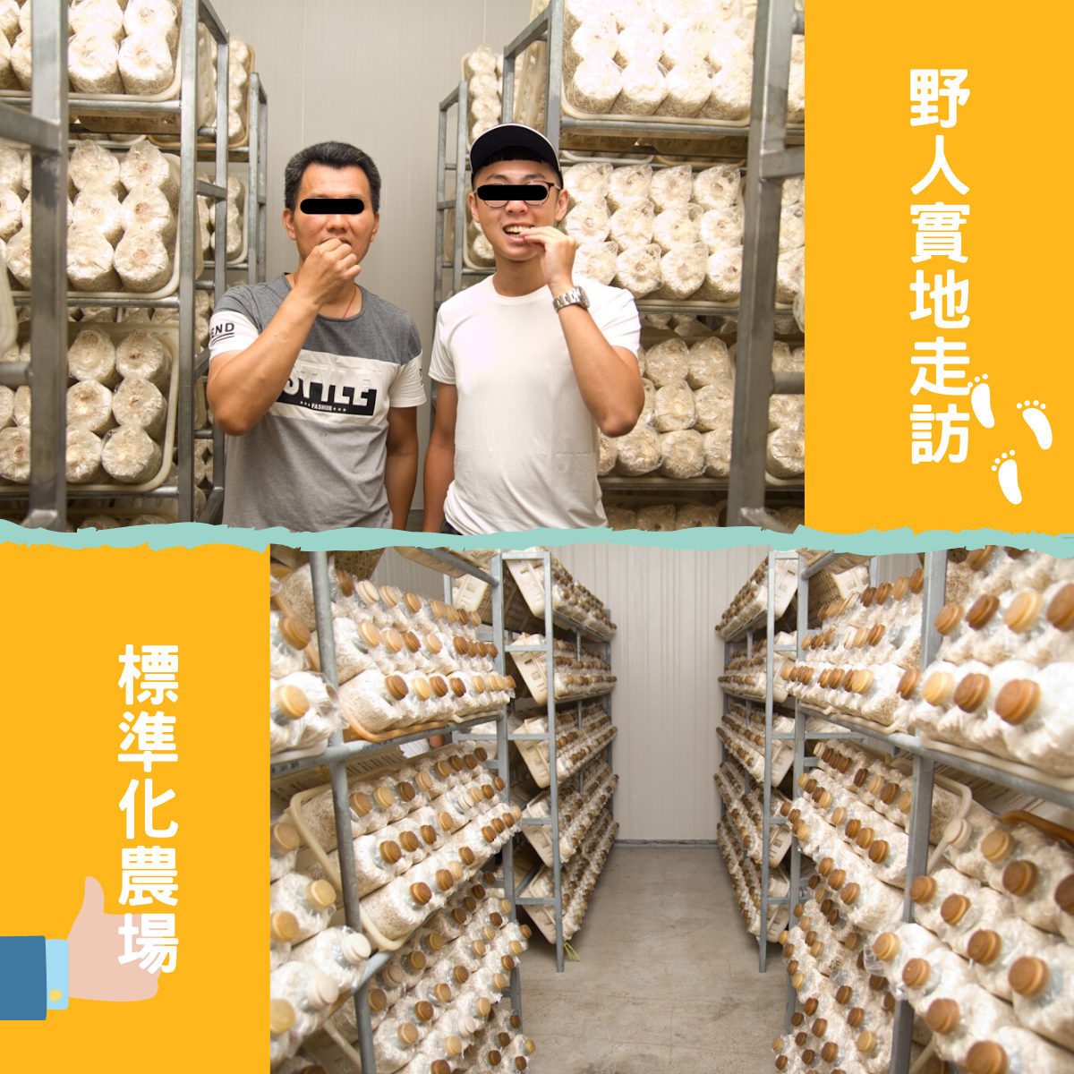 塔香杏鮑菇  180g│急凍鮮蔬│九層塔與杏鮑菇的經典組合│【野人舒食】原味美食專家_2