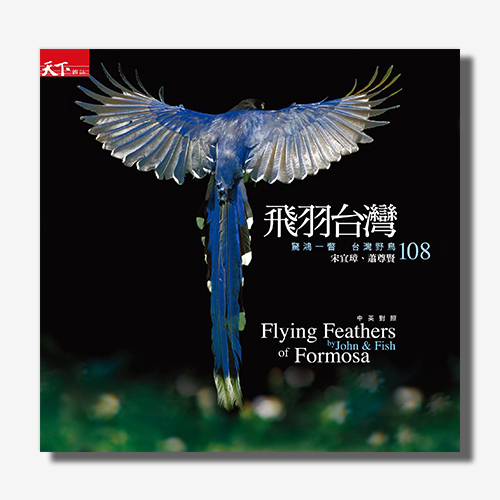 飛羽台灣：台灣野鳥108 | 拾書所