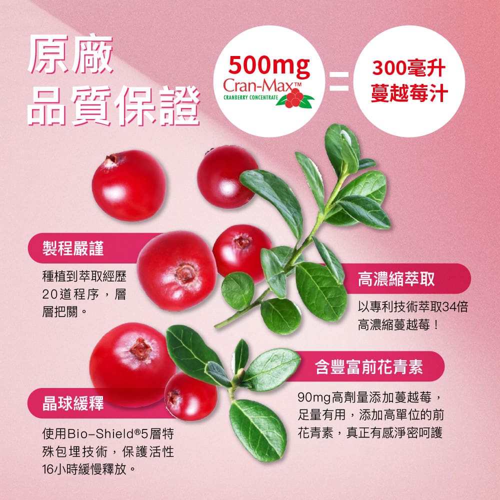 買1送1【Angel Lala天使娜拉】美國專利Cran-Max™蔓越莓甘露糖益生菌膠囊(30顆/盒)x2盒_5