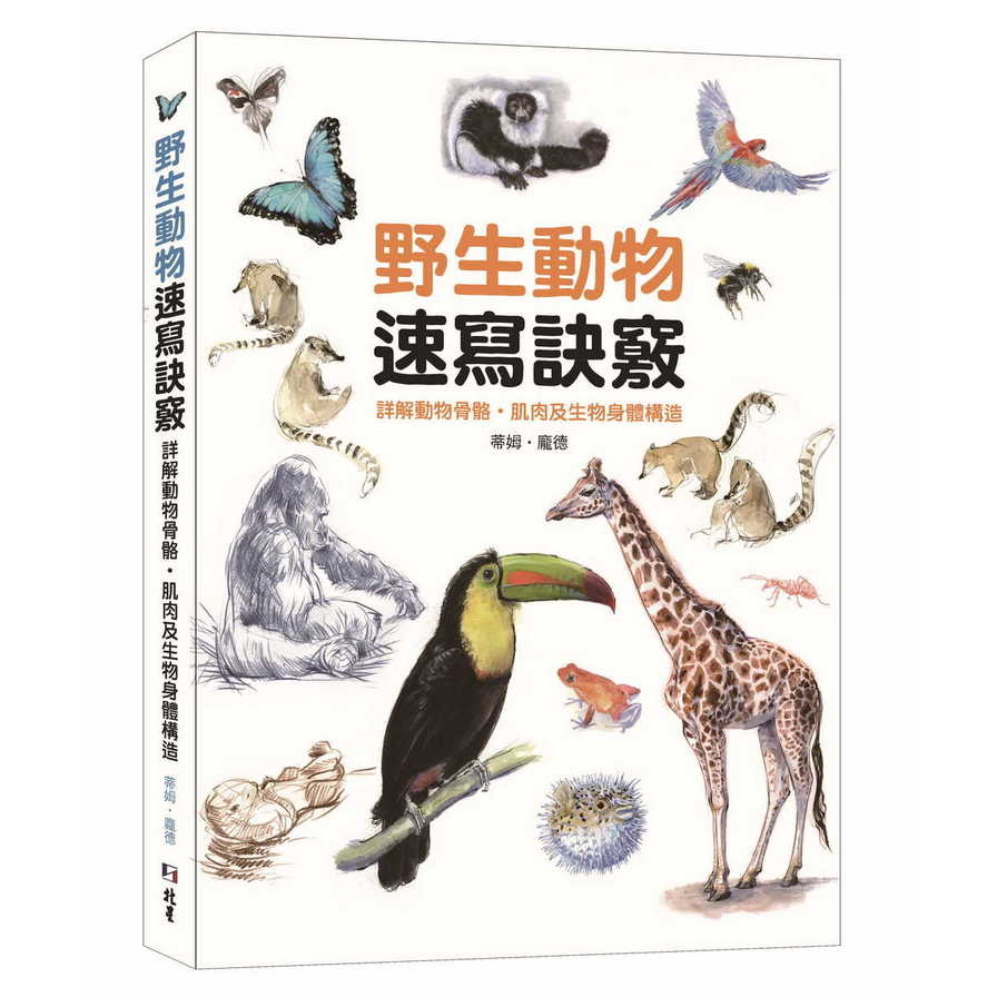 野生動物速寫訣竅：詳解動物骨骼.肌肉及生物身體構造 | 拾書所