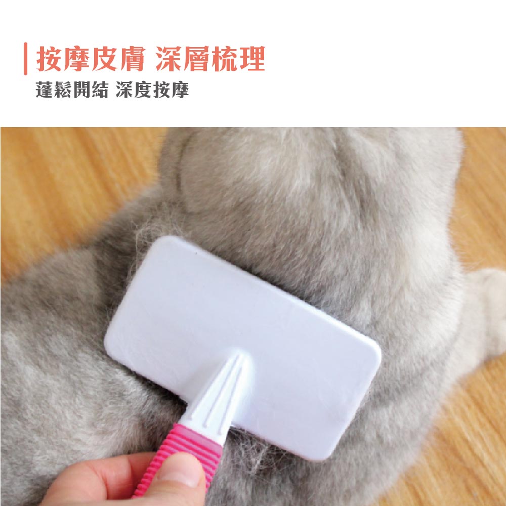 易堆寵物 防滑不銹鋼針梳-護膚 (附小梳子) S／M 顏色隨機出貨 梳理毛髮 台灣現貨 可超取 (J003P01)_3