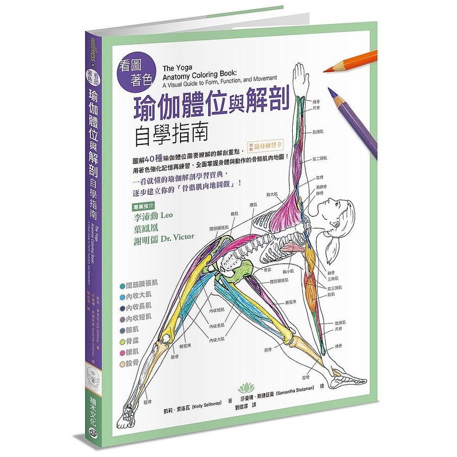 看圖著色瑜伽體位與解剖自學指南：圖解40種瑜伽體位需要瞭解的解剖重點，用著色強化記憶再練習，全面掌握身體與動作的骨骼肌肉地圖！ | 拾書所