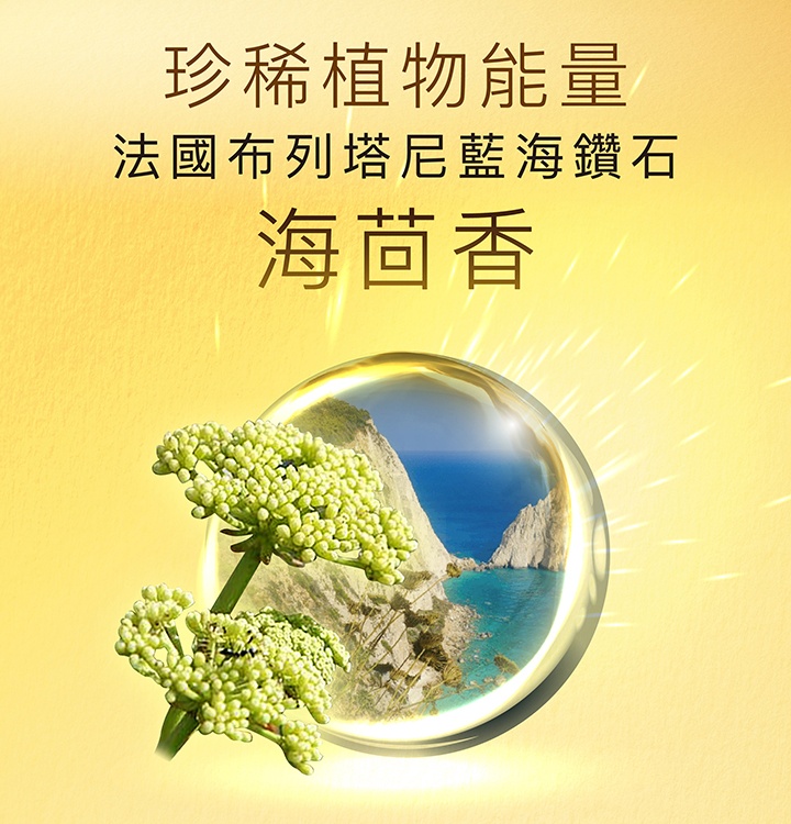 【金采明星商品組  】（金采賦活保濕精華霜 100mLx1入+金采極緻晶凍凝露 125mLx1入+金采淨亮去角質凝膠 100mLx1入）_3