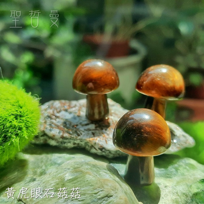 超迷你蘑菇寶寶 菇菇 雕件/擺件 ~成為之石/黃虎眼/龍之石_3