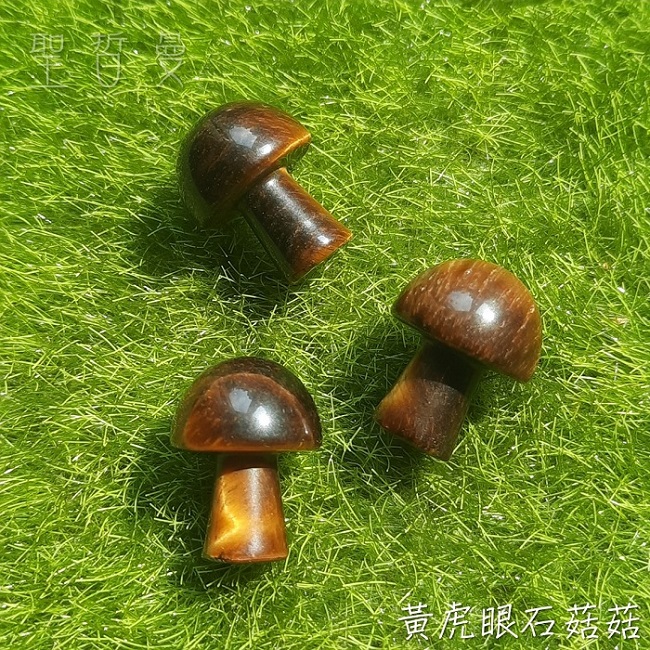 超迷你蘑菇寶寶 菇菇 雕件/擺件 ~成為之石/黃虎眼/龍之石_5