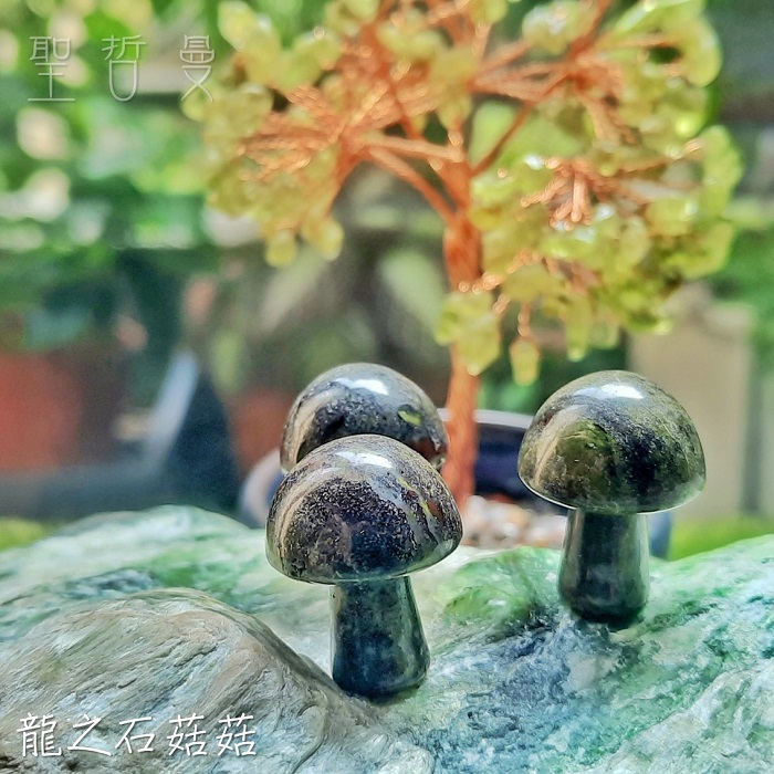 超迷你蘑菇寶寶 菇菇 雕件/擺件 ~成為之石/黃虎眼/龍之石_6