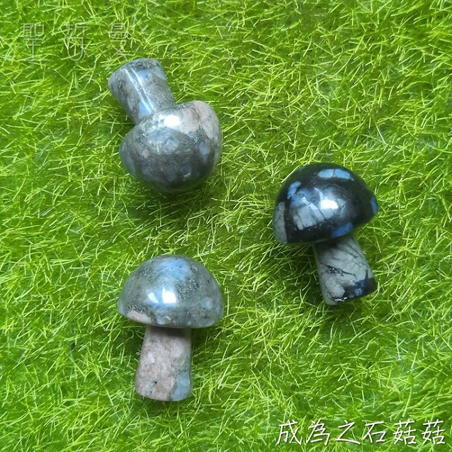 超迷你蘑菇寶寶 菇菇 雕件/擺件 ~成為之石/黃虎眼/龍之石_8