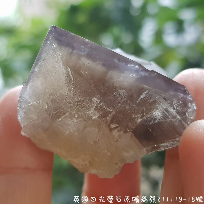 【土桑展精選寶物】英國日光螢石原礦晶簇211119-18號~The Bull Vein Pocket_1
