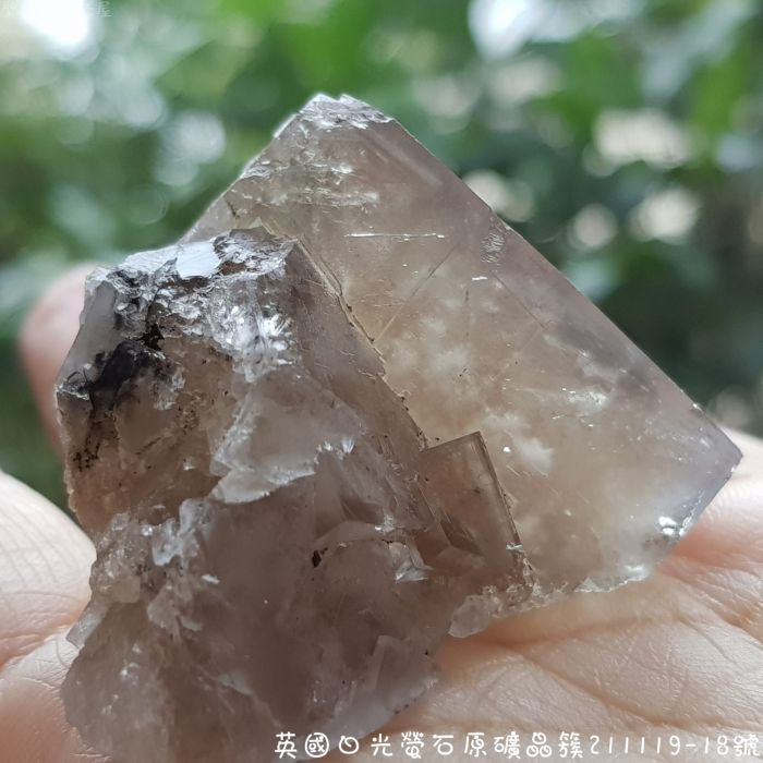 【土桑展精選寶物】英國日光螢石原礦晶簇211119-18號~The Bull Vein Pocket_3