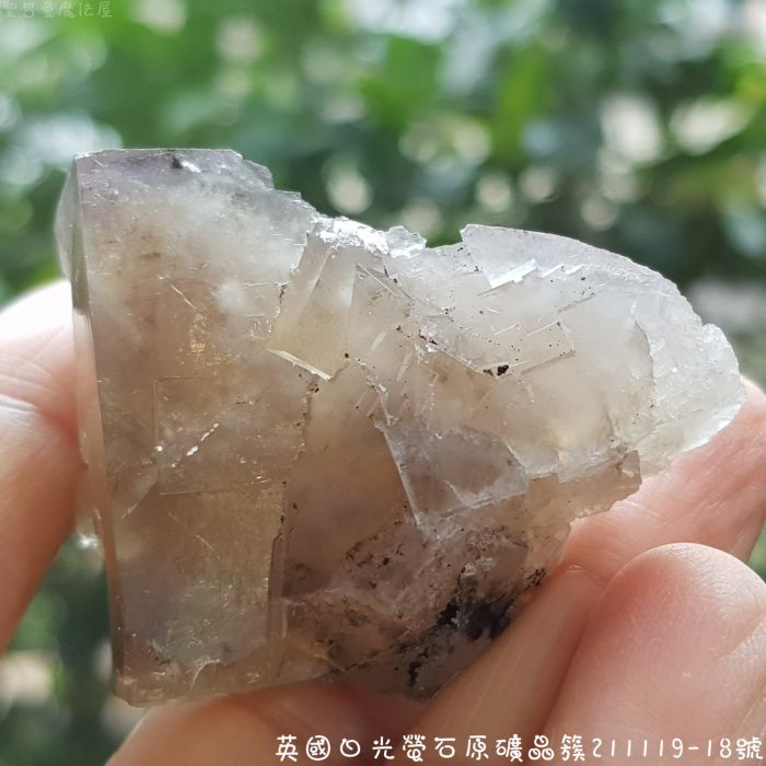 【土桑展精選寶物】英國日光螢石原礦晶簇211119-18號~The Bull Vein Pocket_5