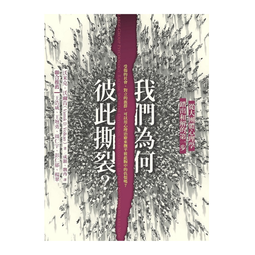 我們為何彼此撕裂？：從大團體心理學踏出和解的第一步 | 拾書所