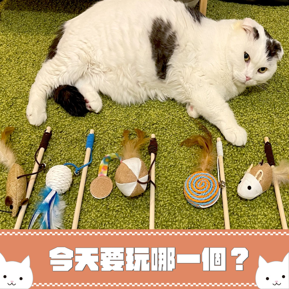 『貓咪的玩具箱』五合一逗貓棒組_0