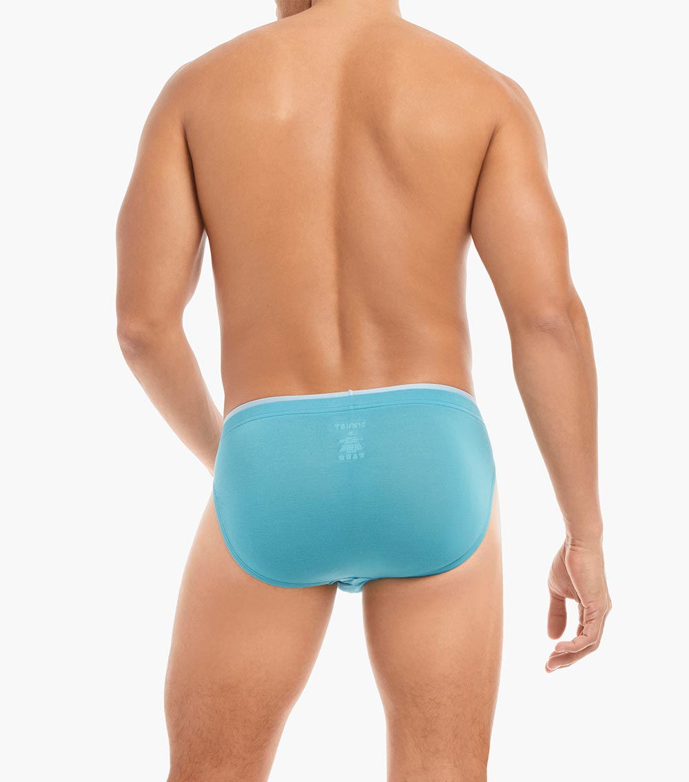 MODAL BIKINI BRIEF_3