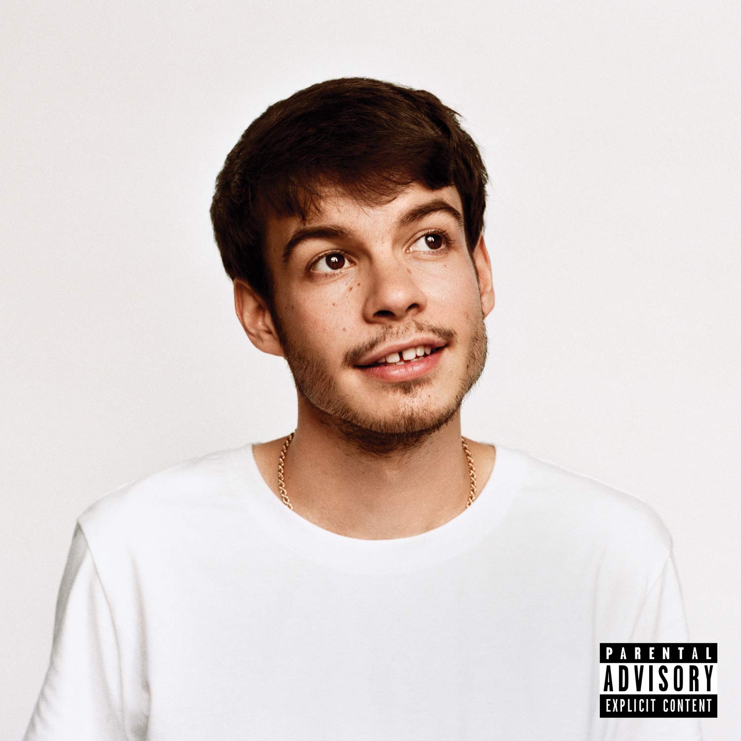 橘郡雷克斯 Rex Orange County - Pony [Explicit Content] (CD)_0