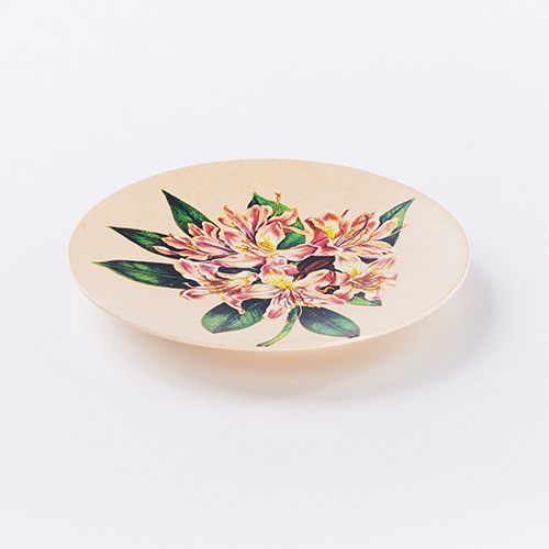 Stripes 17cm Plated Plastic Plate | Black | 10-piece Set_1