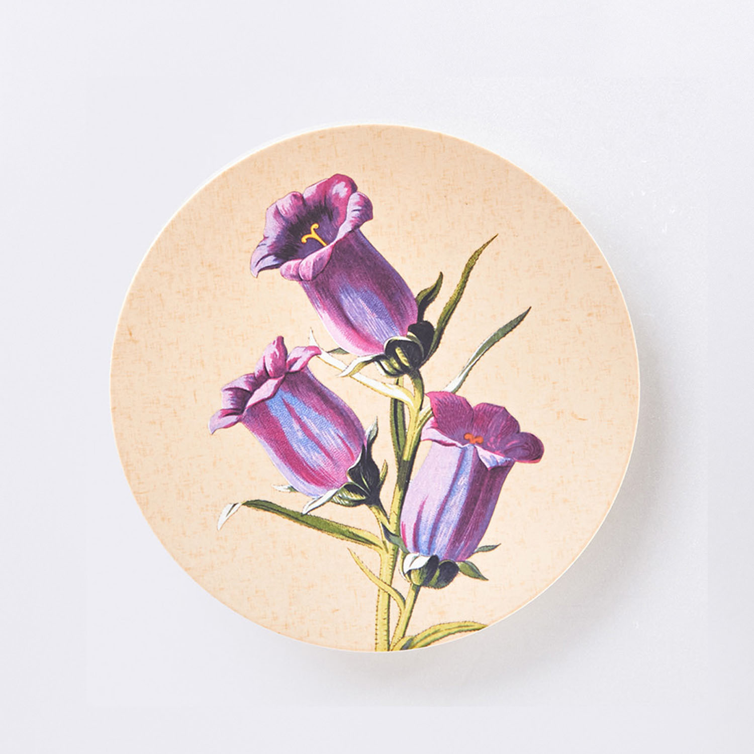 Stripes 17cm Plated Plastic Plate | Black | 10-piece Set_2