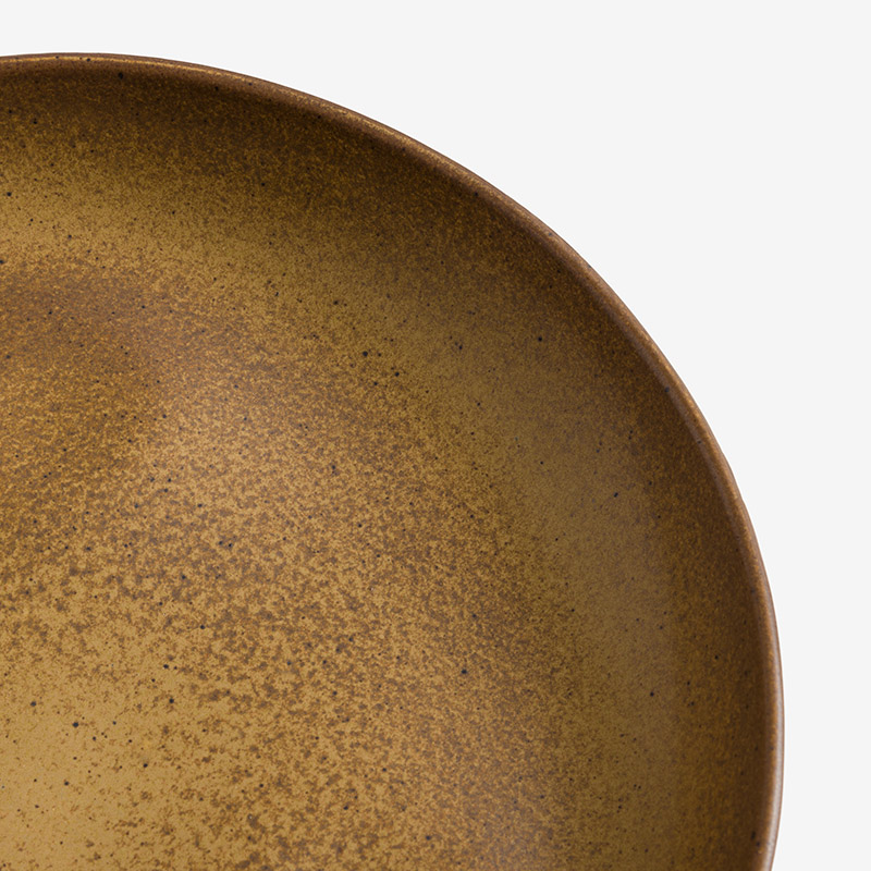 SHINE 25.5cm Ceramic Plate | Gold_2