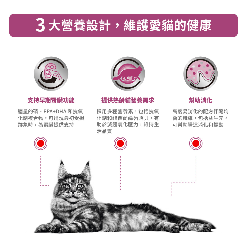 詩「糧」 ER28W 貓早期腎臟病配方濕糧85G | 熱銷推薦| 法國皇家直送