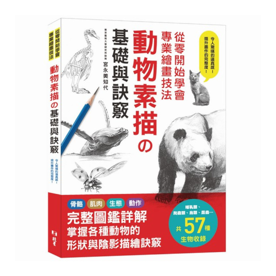 從零開始學會專業繪畫技法 : 動物素描の基礎與訣竅 | 拾書所