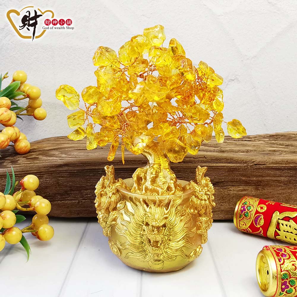 祥龍聚寶-水晶發財樹(兩款任選)《含開光》【財神小舖】家有招財樹，財源滾滾來_4