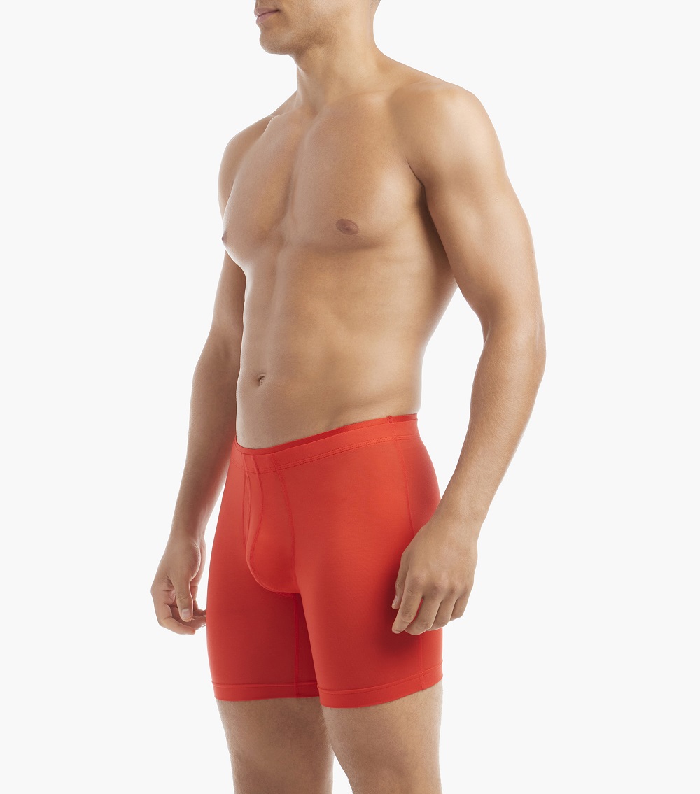 MODAL 6" BOXER BRIEF_2