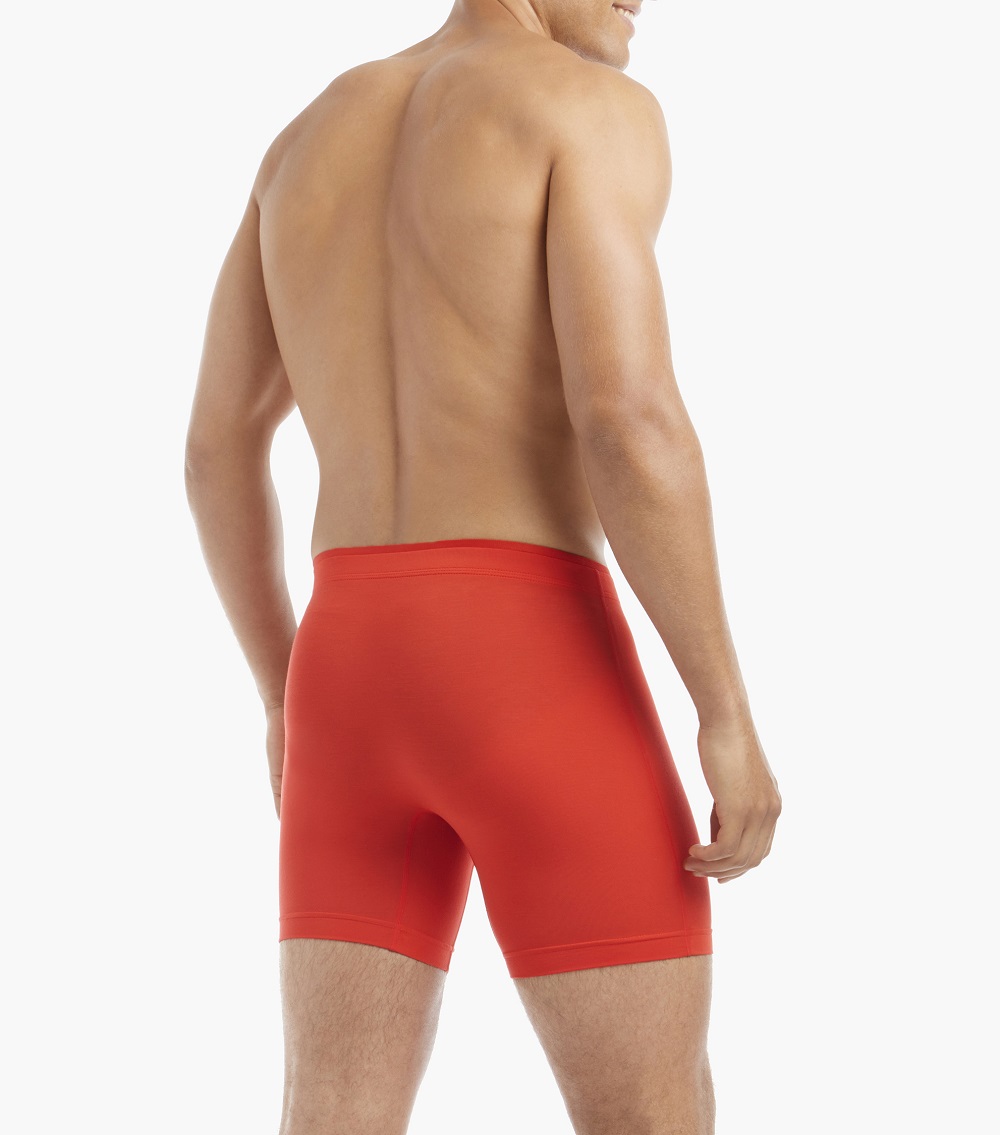 MODAL 6" BOXER BRIEF_3