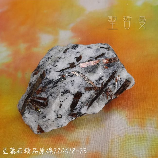 星葉石Astrophyllite 精品原礦220618-21~23號~自我認識與自我接受之石~俄羅斯_7