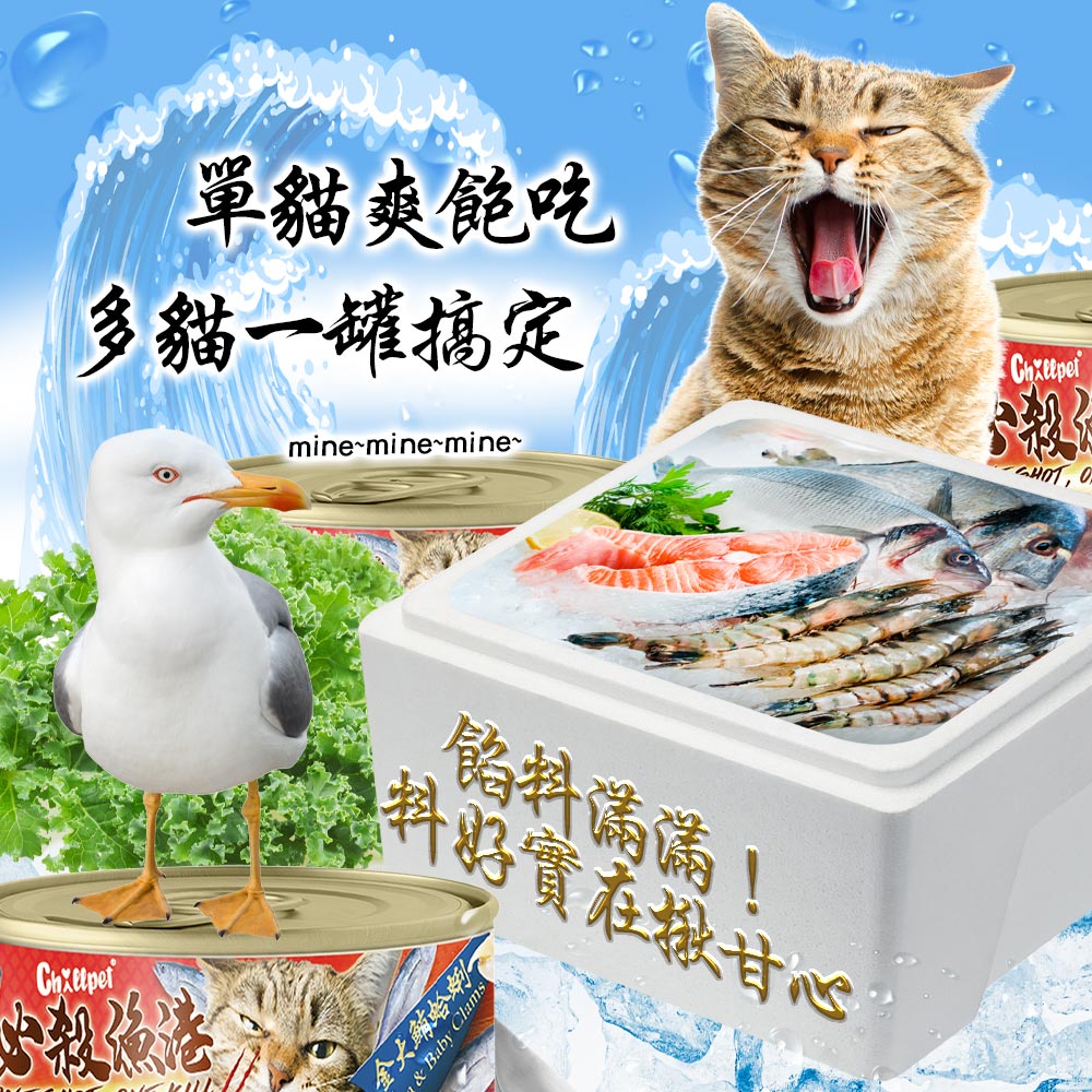 【Chillpet敲派】#4 必殺漁港貓罐-金大鮪嫩鮭 170克(24罐/箱)(貓副食罐)_5