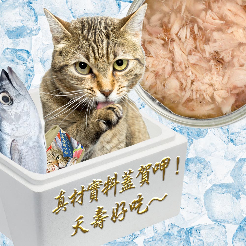 【Chillpet敲派】#4 必殺漁港貓罐-金大鮪嫩鮭 170克(24罐/箱)(貓副食罐)_6