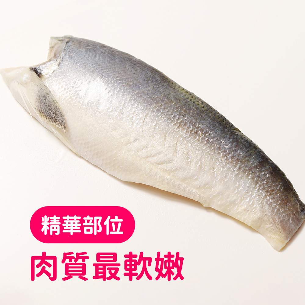《肉質軟嫩》極品午仔魚腹肉菲力_5
