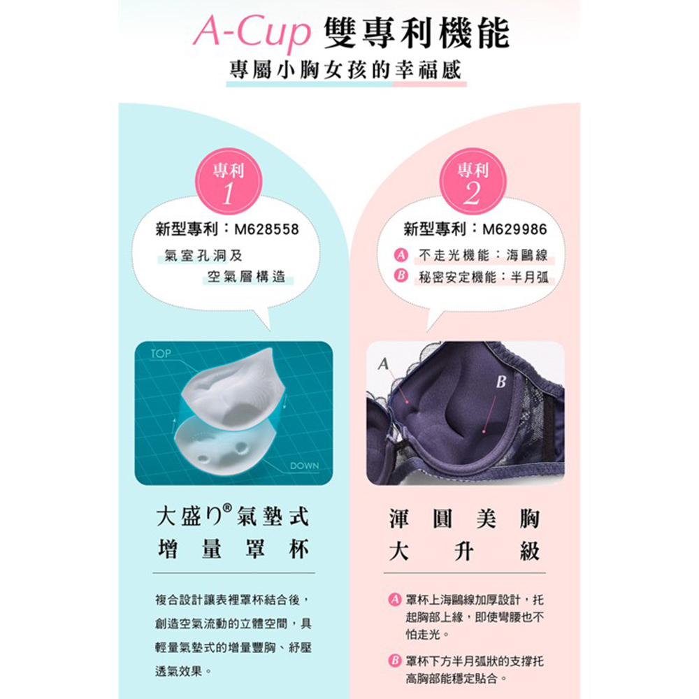 華歌爾-深V 量身打造美一刻 A-E罩杯內衣(尊貴藍) NB4594NZ_7