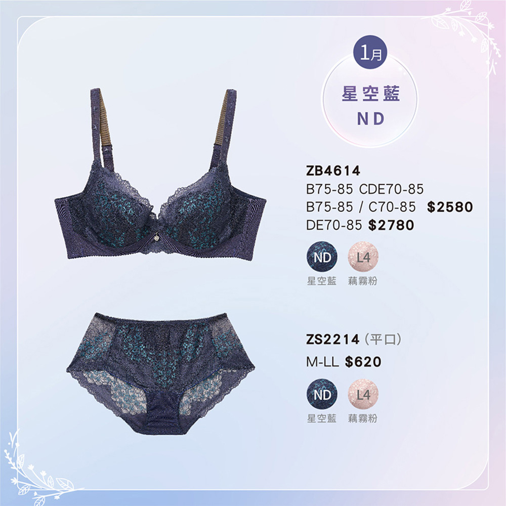 華歌爾-摩奇X-GOOD FIT系列 B-E罩杯內衣(星空藍) ZB4614ND_5