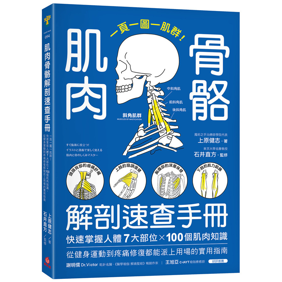 肌肉骨骼解剖速查手冊：一頁一圖一肌群！快速掌握人體7大部位×100個肌肉知識，從健身運動到疼痛修復都能派上用場的實用指南 | 拾書所