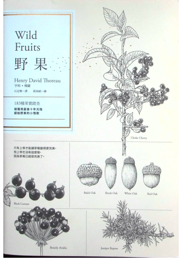野果：183種果實踏查，梭羅用最後十年光陰獻給野果的小情歌／亨利‧梭羅 (Henry David Thoreau)著_0