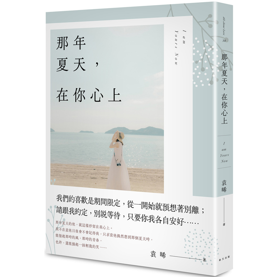 那年夏天，在你心上 | 拾書所