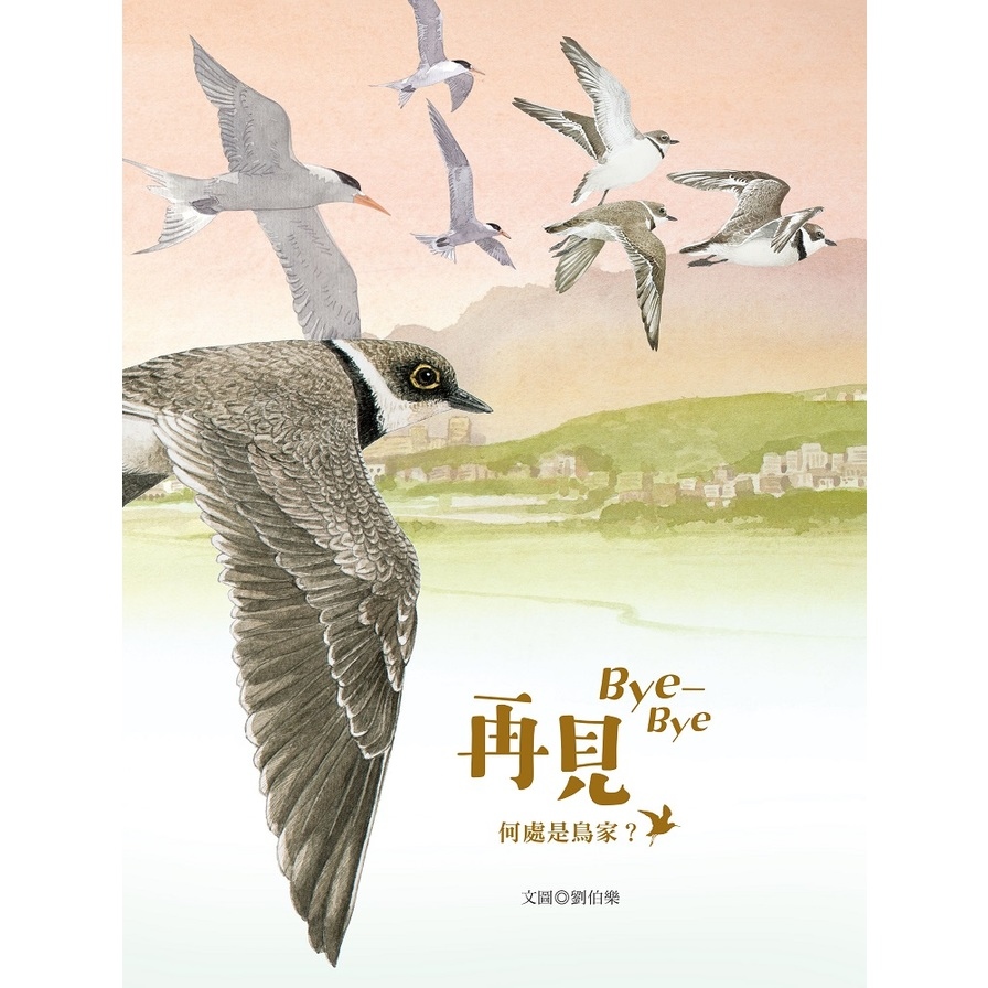 再見Bye-Bye：何處是鳥家？ | 拾書所