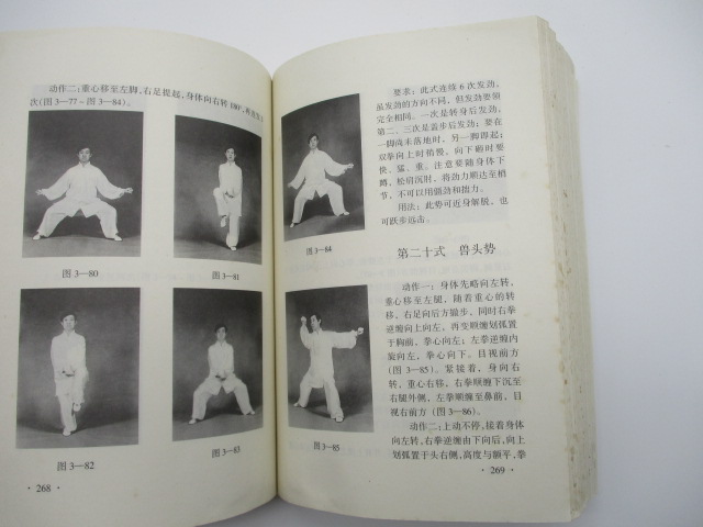 陳氏太極拳術／陳正雷 著_3
