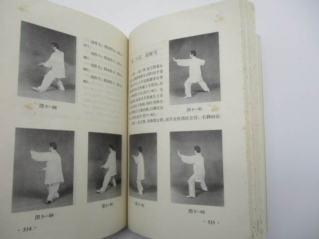 陳氏太極拳術／陳正雷 著_4