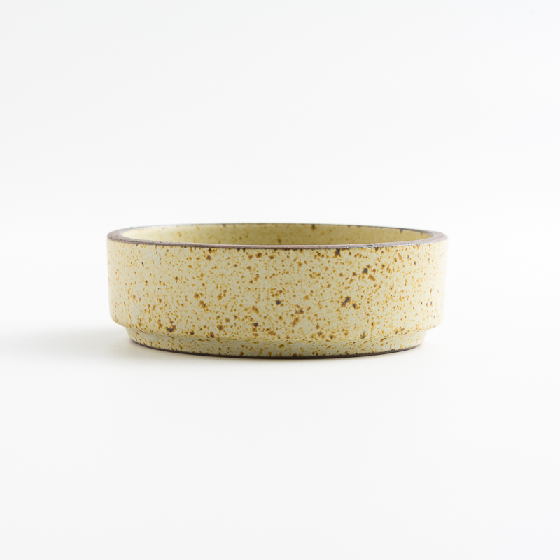 Silent Forest 20cm Wood Fired Ceramic Deep Bowl | Beige_1