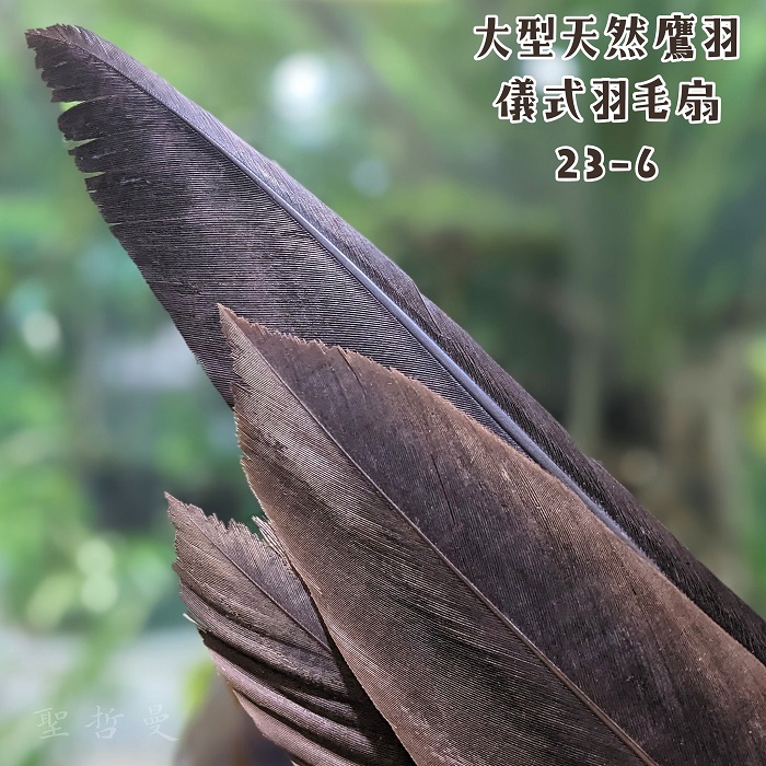 極稀有！大型天然鷹羽儀式羽毛扇23-6 ~適合在各種神聖儀式中或能量療癒使用_2