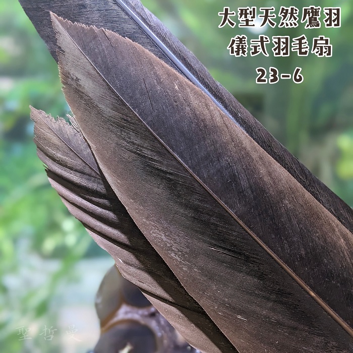 極稀有！大型天然鷹羽儀式羽毛扇23-6 ~適合在各種神聖儀式中或能量療癒使用_3