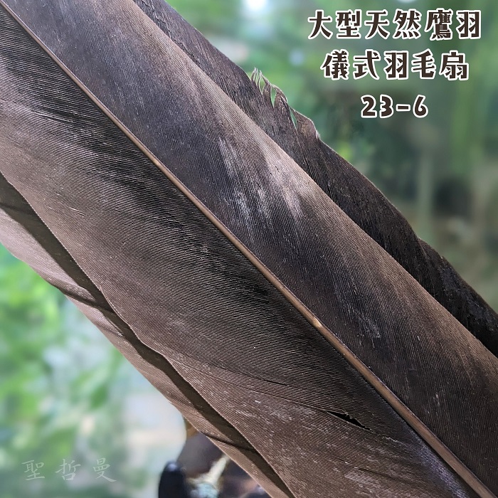 極稀有！大型天然鷹羽儀式羽毛扇23-6 ~適合在各種神聖儀式中或能量療癒使用_4