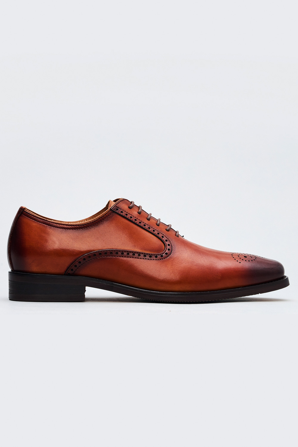SST&C Light Coffee Oxford Shoes | 1312304001  (Outlet)_2