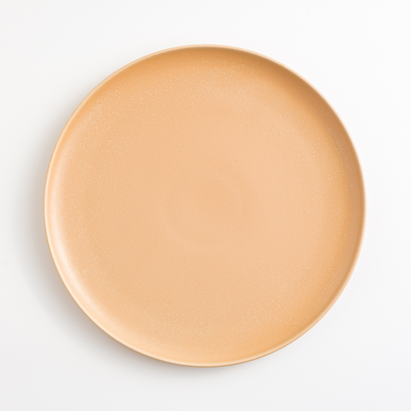 Ice Crack 23cm Ceramic Plate_2
