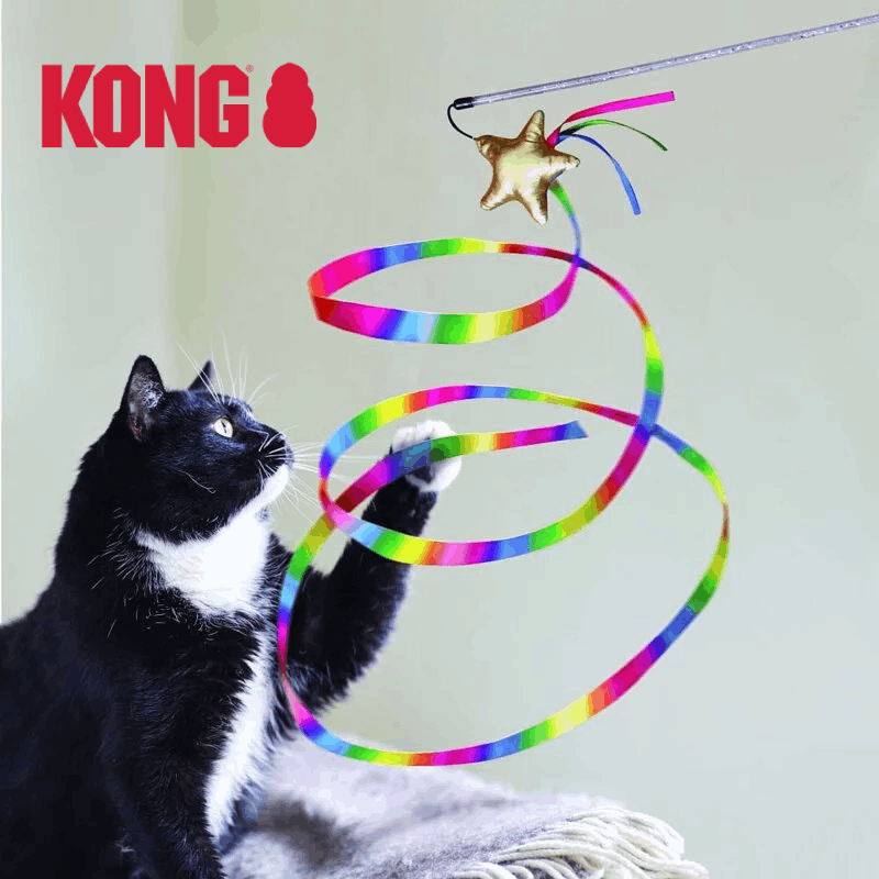 【KONG CAT】逗貓系列 -  Stellar Tease 彩虹逗貓棒_1