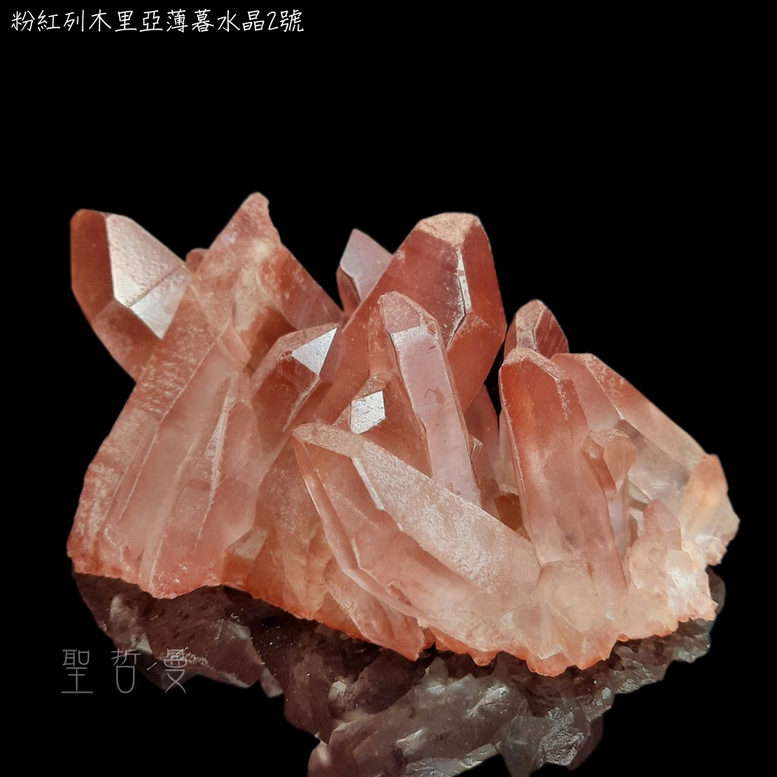【土桑展精品】粉紅列木里亞薄暮水晶2號 Pink Shadow Lemurian/列木尼亞/雷姆尼亞 雙生、平頂、窗_0