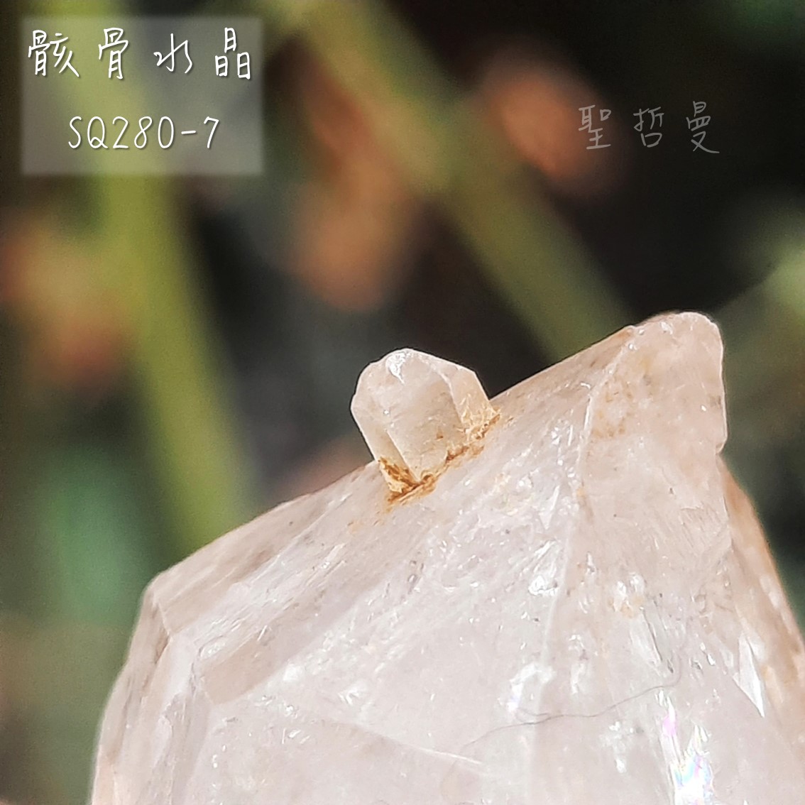 骸骨水晶SQ280-7 (Skeletal Quartz) 骨架水晶~增進行動力，加速