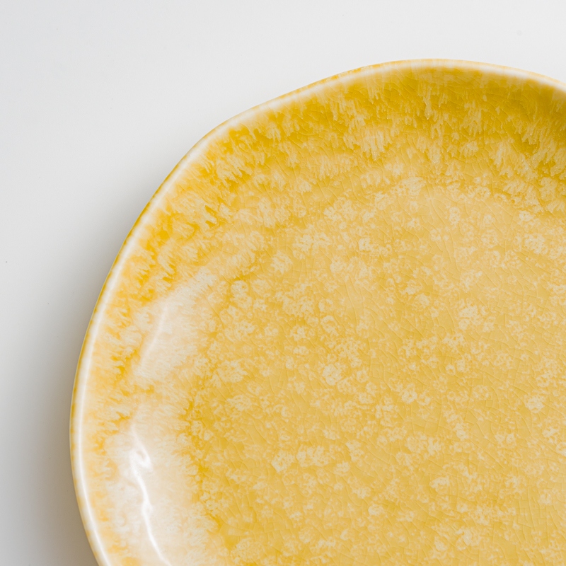 Ice 28cm Ceramic Plate | Gray Ⓟ_2
