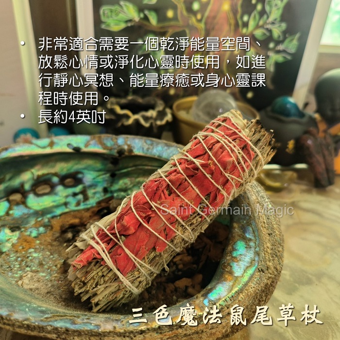 三色魔法鼠尾草杖~包含龍血鼠尾草/白鼠尾草/藍鼠尾草三種鼠尾草 ~進階強力淨化、心靈淨化、平靜喜悅、魔法防護_1