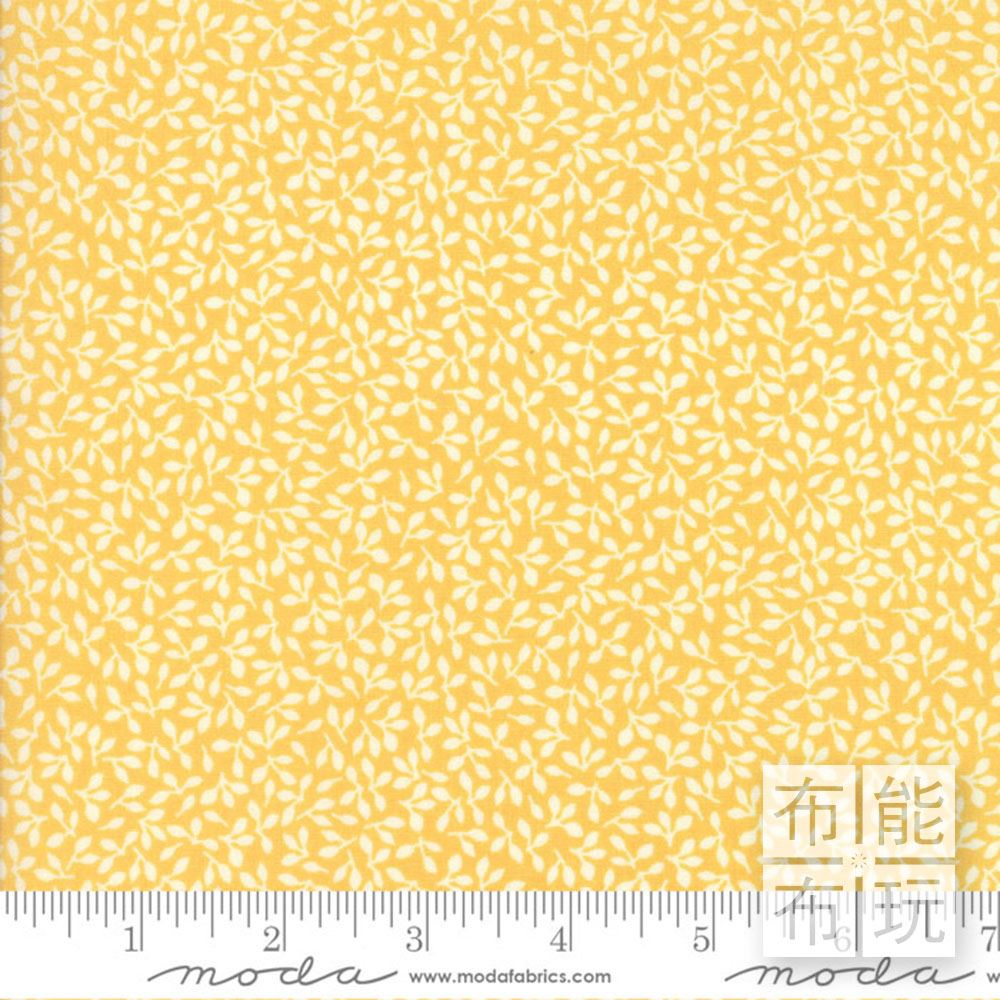 MODA 美布 5636-23 (碼)_0